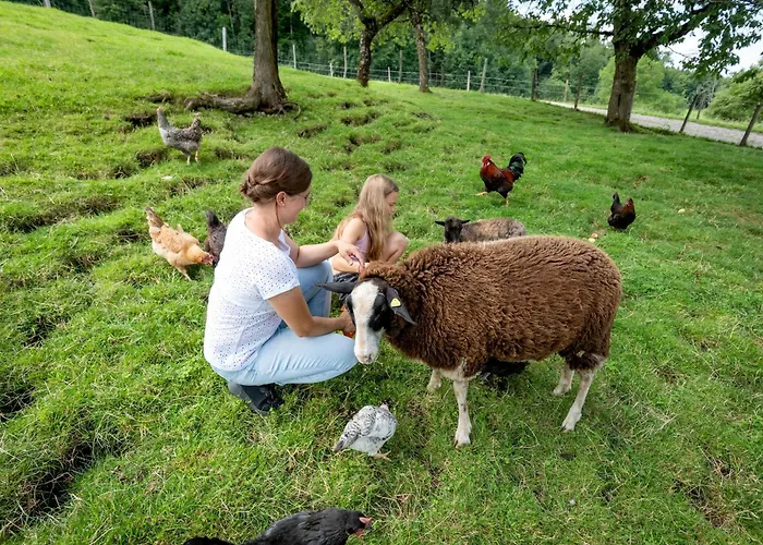 Schleipfnerhof Urlaub Auf DemFerienwohnung